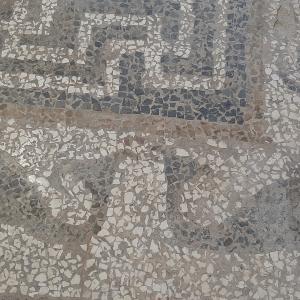  Dipartimento di Studi Umanistici. Lettere, Beni Culturali, Scienze della Formazione Dipartimento di Studi Umanistici. Lettere, Beni Culturali, Scienze della Formazione La Notte dei Ricercatori e i laboratori del Distum