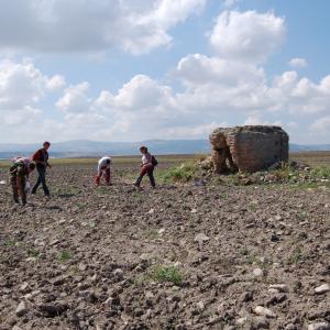 Progetto Ager Lucerinus
