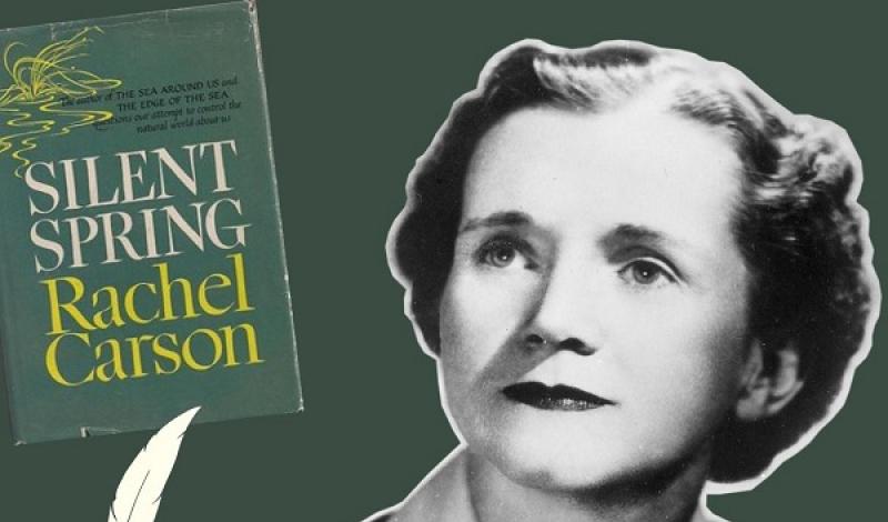 Silent Spring: una storia, una donna, un futuro