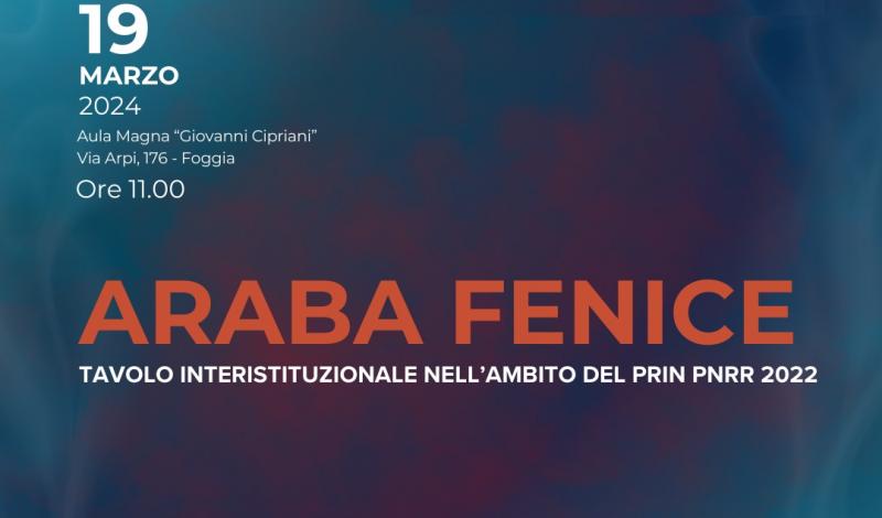 Araba fenice. Tavolo interistituzionale