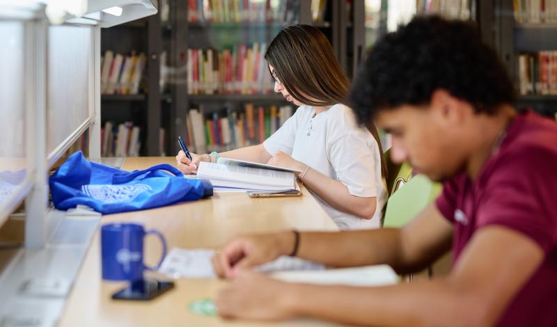 Dottorato in Scienze della Formazione, dello Sviluppo e dell’Apprendimento