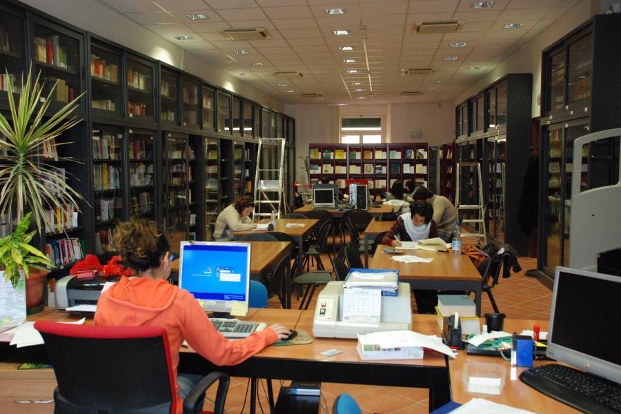 Distum aule